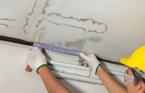 Reliable Water Damage contractor in Slidell, TX by Water Damage Irwin